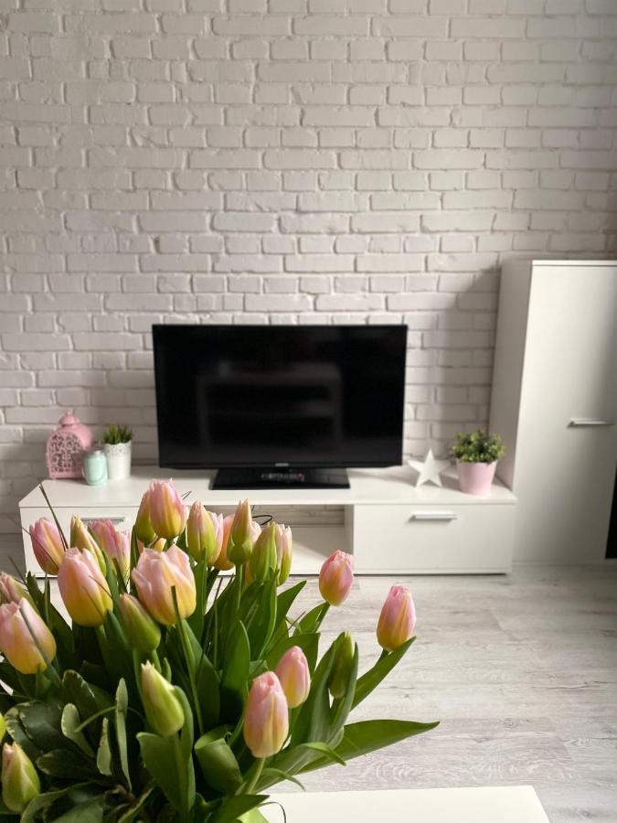 Apartamenty Totugdynia 5 المظهر الخارجي الصورة